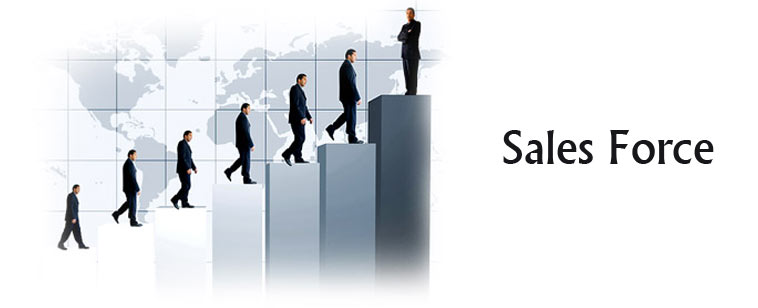Sales Force Training