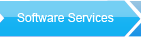 Software Services